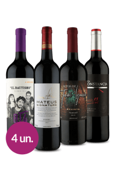 4 Vinhos WineBox Adega Básica