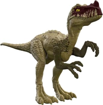 INT/EMC 12"- Proceratosaurus