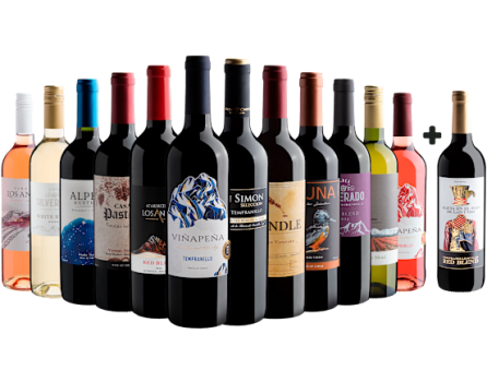 Kit 12 Vinhos por R$26,90 cada garrafa + 1 Alicia en el Pais de Las Uvas Tempranillo Syrah Grátis