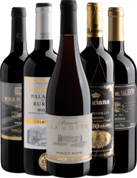 Kit 5 Vinhos Clássicos do Vinho