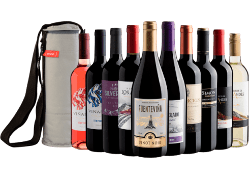 Kit 10 Vinhos por R$29,90 cada garrafa + Bolsa Térmica Grátis