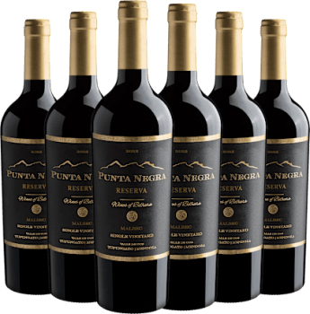 Kit 6 Punta Negra Reserva Malbec Single Vineyard por R$49,90 cada garrafa